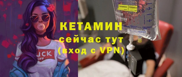 амф Новозыбков